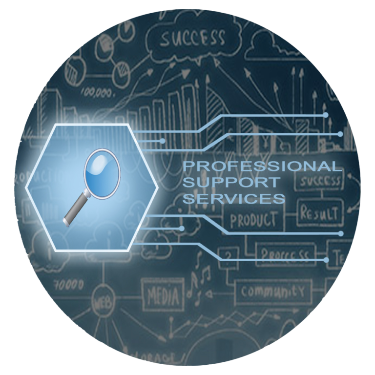 Professional Support Services IOIJV